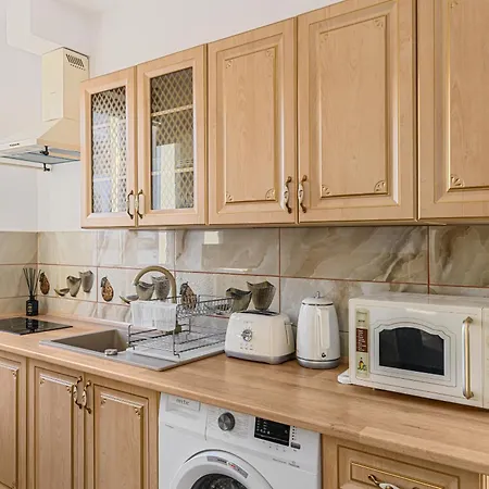 Vintage By Black Church Apartment Brașov