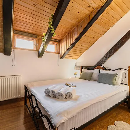 Apartment Vintage By Black Church Brașov